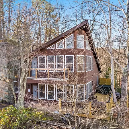Honey Bear Treehouse By Avada Properties